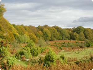 Parque Natural Urbasa-Andía